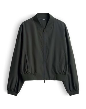 someday. Narlisa Blazer