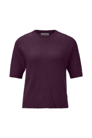 Rich & Royal Seamless Crew Short Sleeve